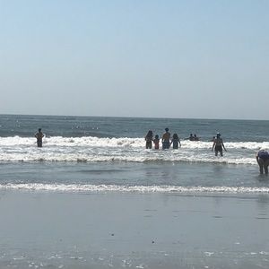 Meet your Posher, Sophia